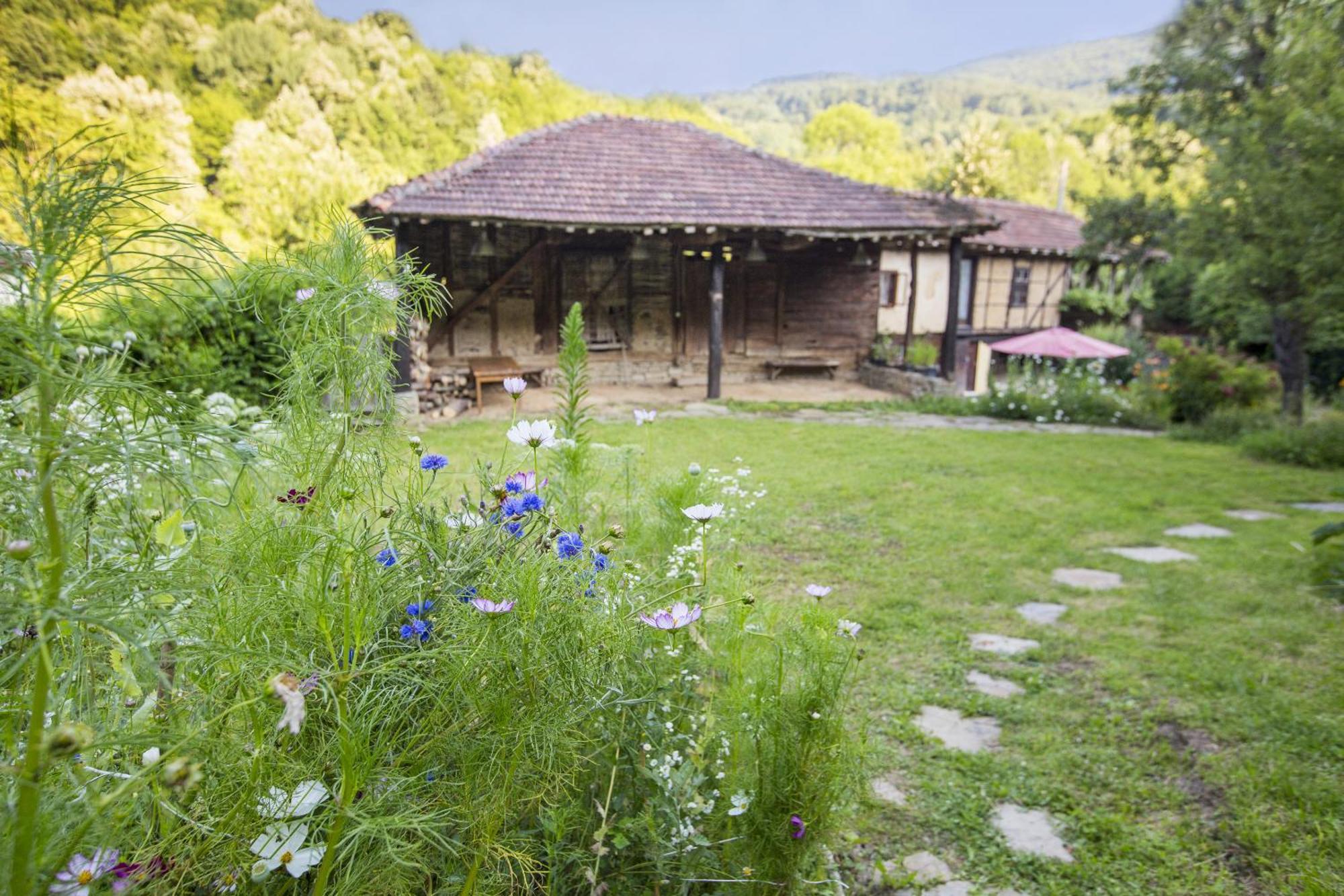 加布罗沃小河旅馆住宿加早餐旅馆 外观 照片